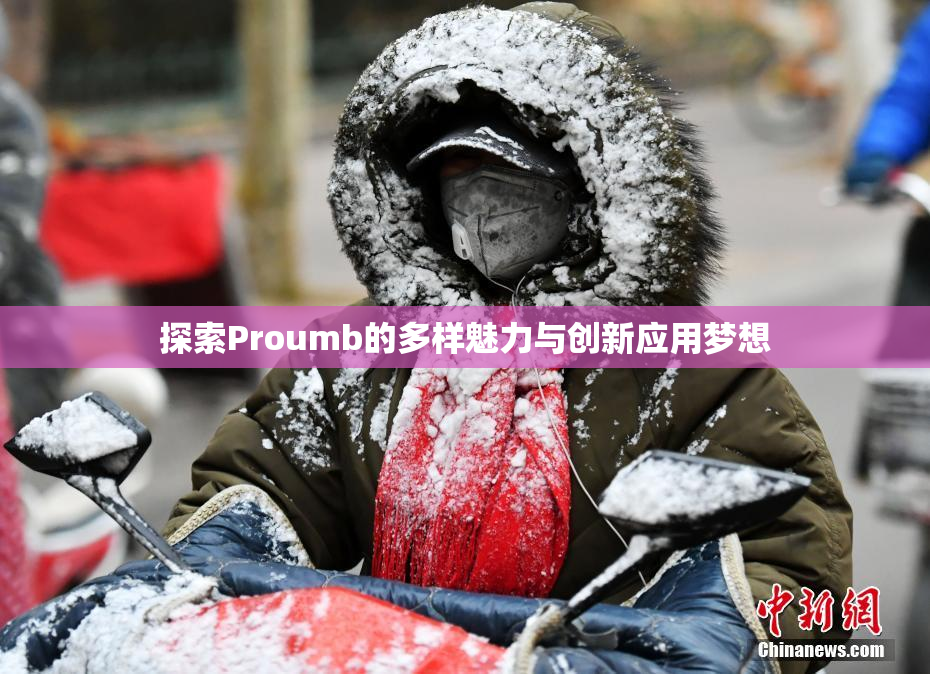 探索Proumb的多样魅力与创新应用梦想