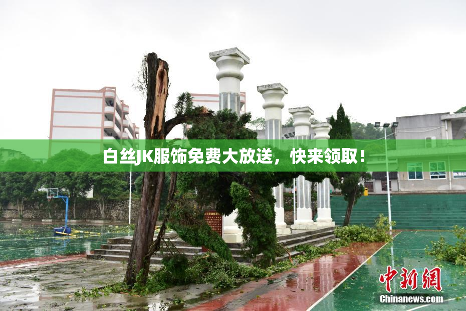 白丝JK服饰免费大放送，快来领取！