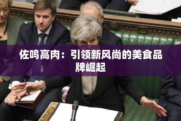 佐鸣高肉：引领新风尚的美食品牌崛起