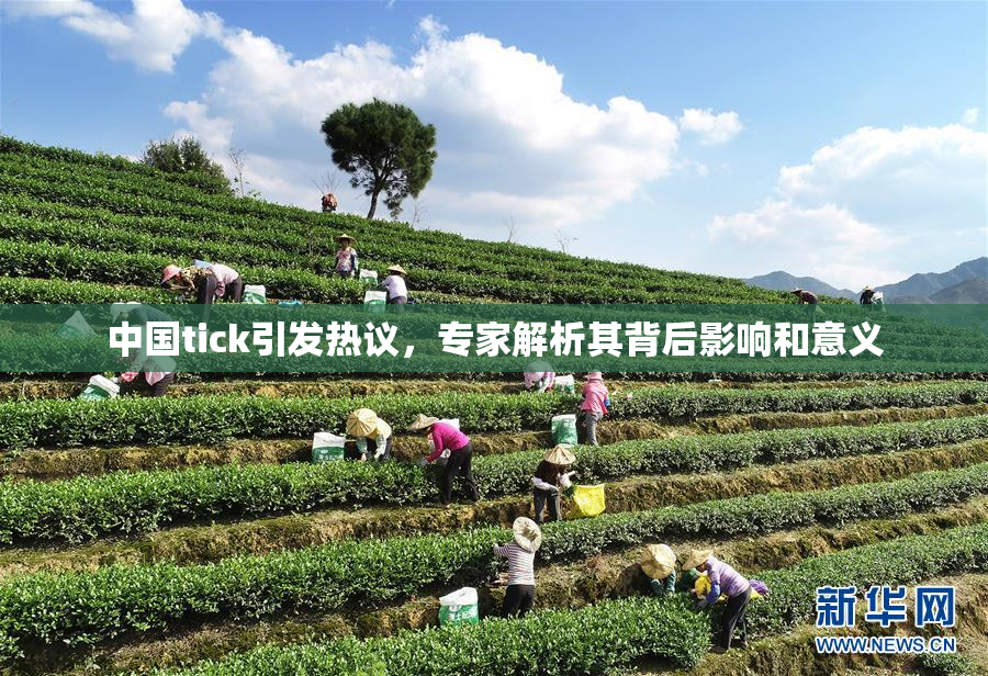 中国tick引发热议，专家解析其背后影响和意义