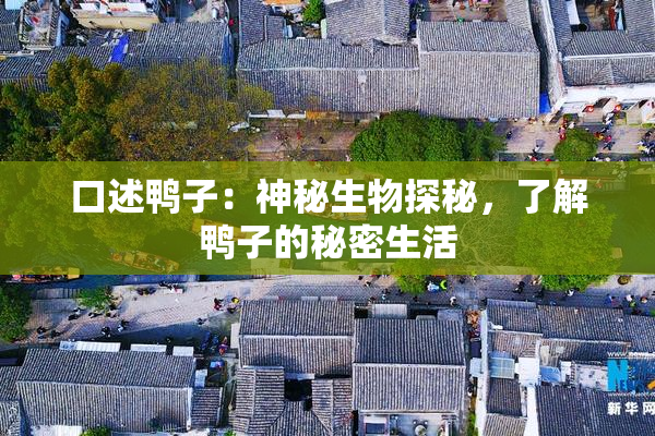 口述鸭子：神秘生物探秘，了解鸭子的秘密生活