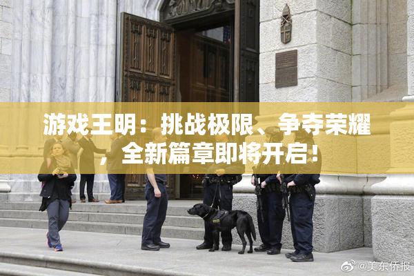 游戏王明：挑战极限、争夺荣耀，全新篇章即将开启！