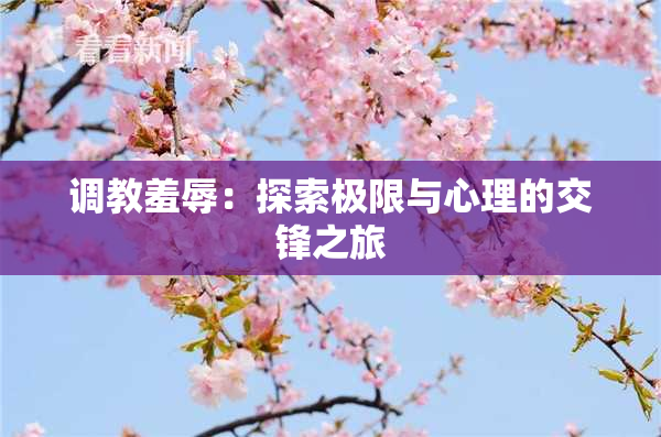调教羞辱：探索极限与心理的交锋之旅