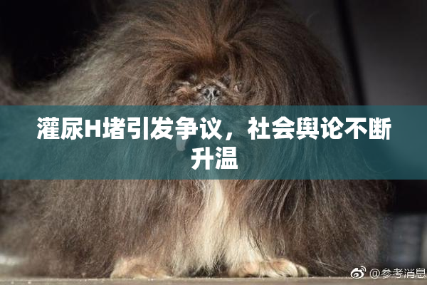 灌尿H堵引发争议，社会舆论不断升温
