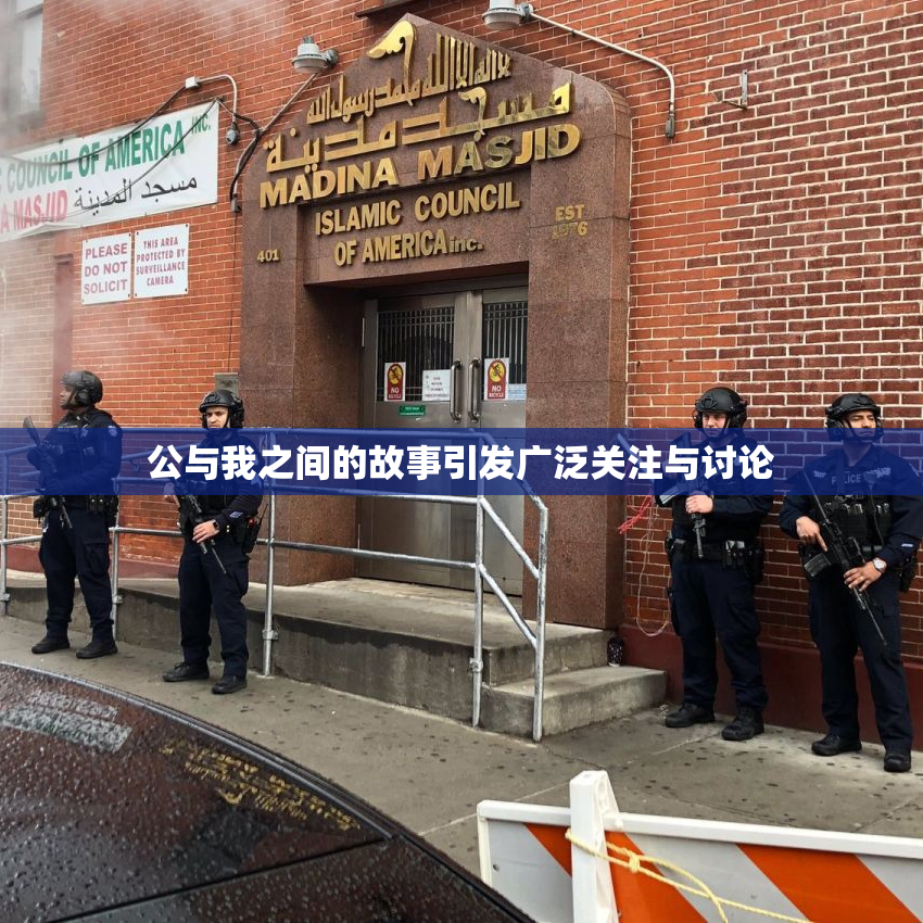 公与我之间的故事引发广泛关注与讨论