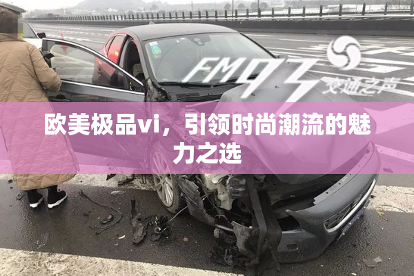 欧美极品vi，引领时尚潮流的魅力之选