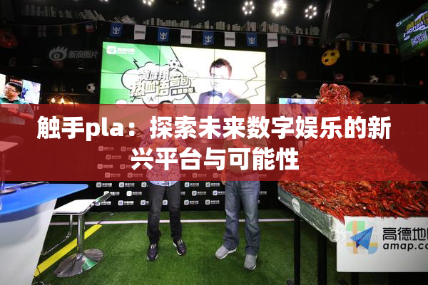 触手pla：探索未来数字娱乐的新兴平台与可能性