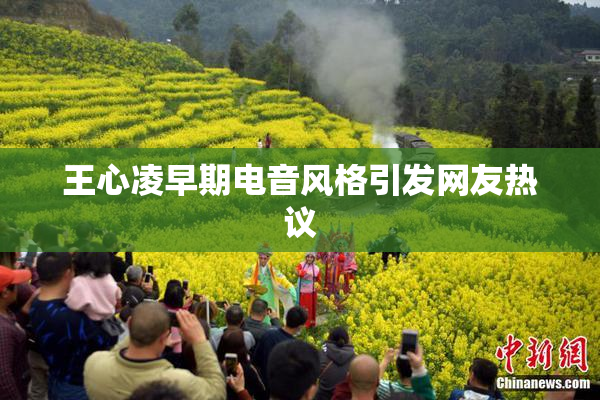 王心凌早期电音风格引发网友热议