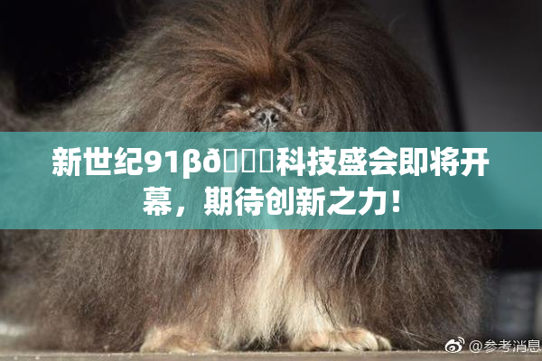 新世纪91β🔞科技盛会即将开幕，期待创新之力！