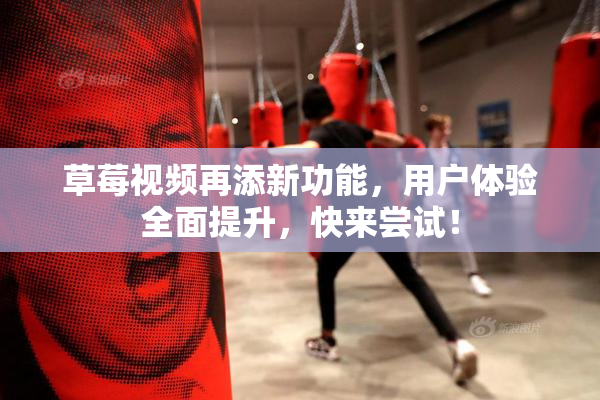 草莓视频再添新功能，用户体验全面提升，快来尝试！