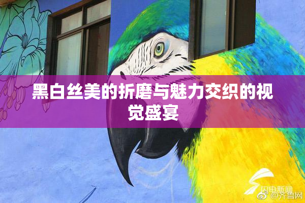 黑白丝美的折磨与魅力交织的视觉盛宴