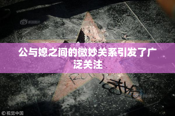 公与媳之间的微妙关系引发了广泛关注