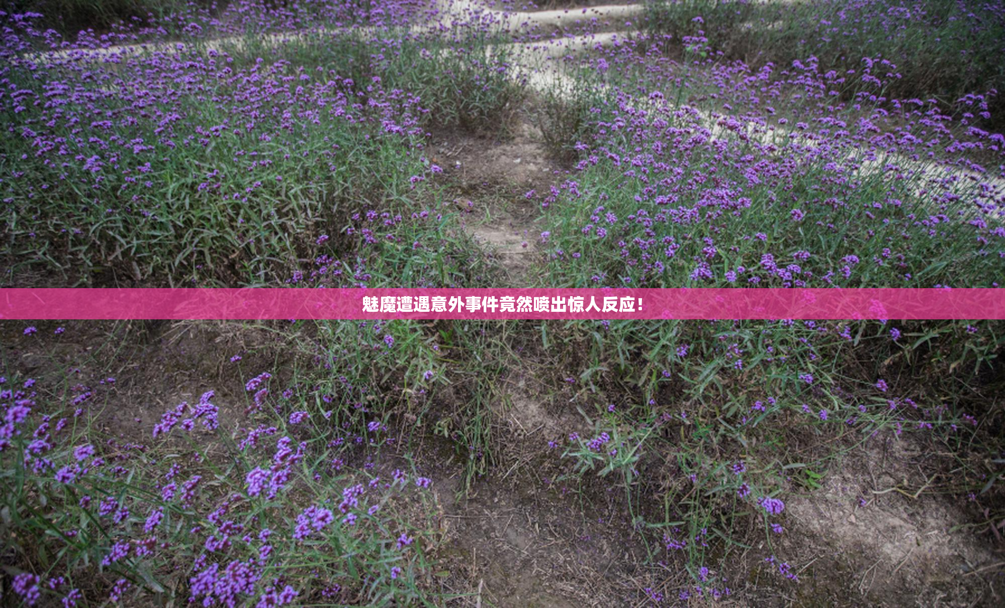 魅魔遭遇意外事件竟然喷出惊人反应！