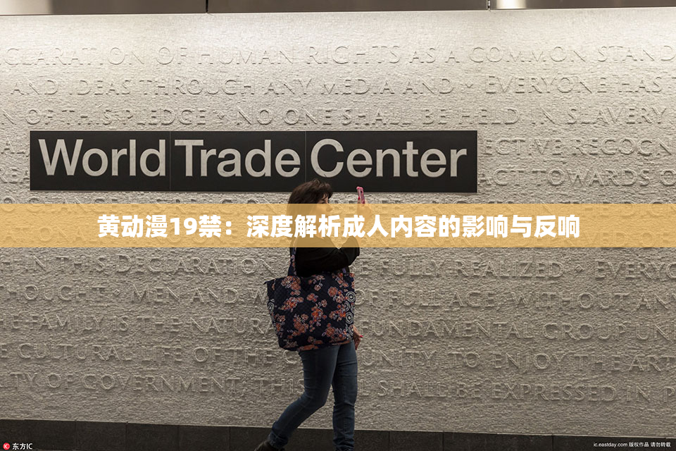 黄动漫19禁：深度解析成人内容的影响与反响