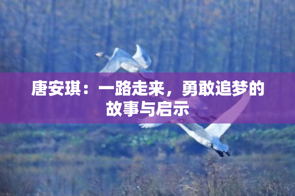 唐安琪：一路走来，勇敢追梦的故事与启示