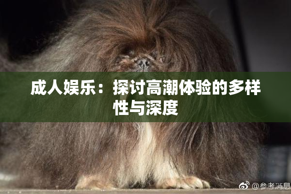 成人娱乐：探讨高潮体验的多样性与深度