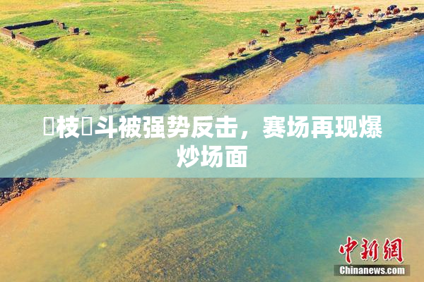 狛枝凪斗被强势反击，赛场再现爆炒场面