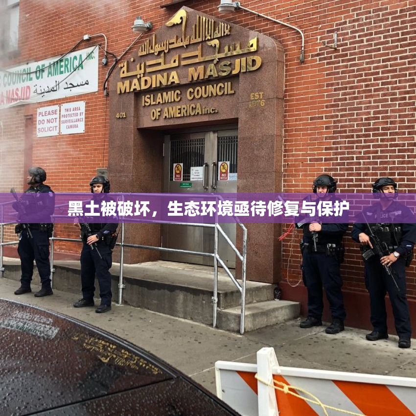 黑土被破坏，生态环境亟待修复与保护