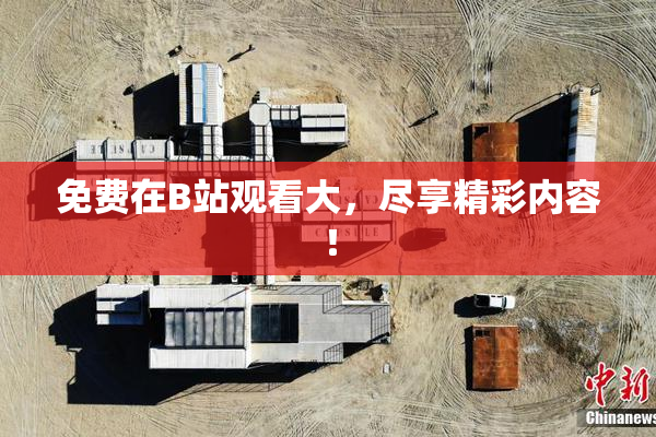 免费在B站观看大，尽享精彩内容！