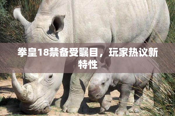拳皇18禁备受瞩目，玩家热议新特性