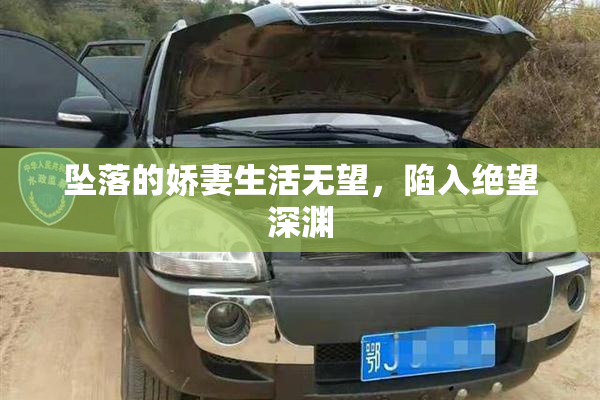 坠落的娇妻生活无望，陷入绝望深渊