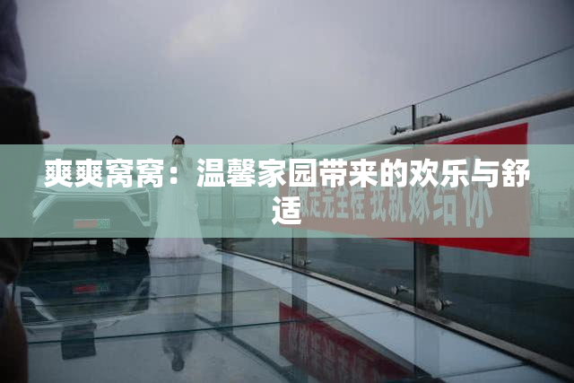 爽爽窝窝：温馨家园带来的欢乐与舒适