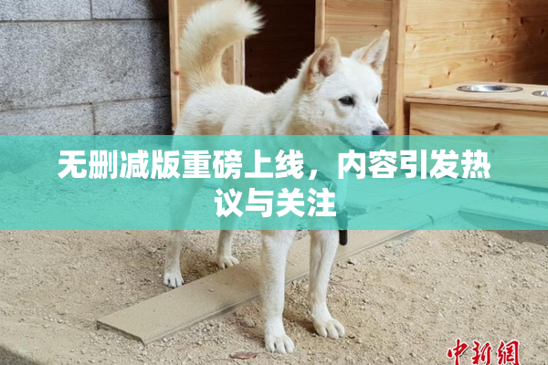 无删减版重磅上线，内容引发热议与关注