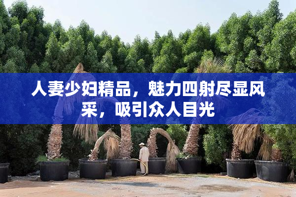 人妻少妇精品，魅力四射尽显风采，吸引众人目光