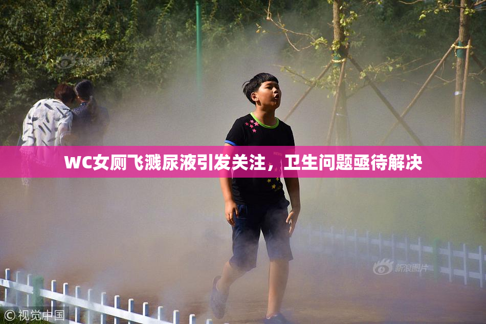 WC女厕飞溅尿液引发关注，卫生问题亟待解决