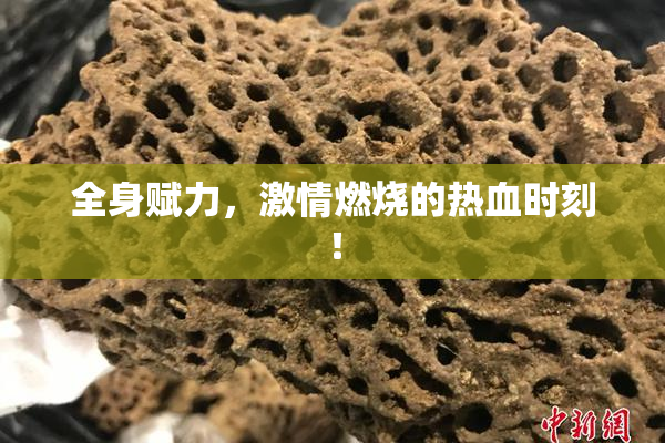 全身赋力，激情燃烧的热血时刻！