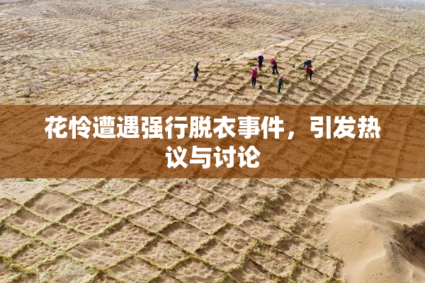 花怜遭遇强行脱衣事件，引发热议与讨论