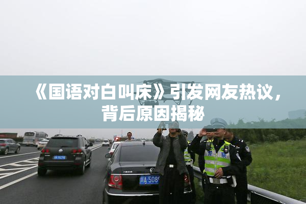 《国语对白叫床》引发网友热议，背后原因揭秘