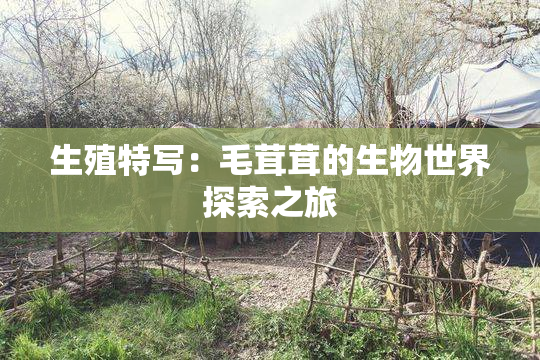 生殖特写：毛茸茸的生物世界探索之旅