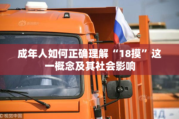 成年人如何正确理解“18摸”这一概念及其社会影响