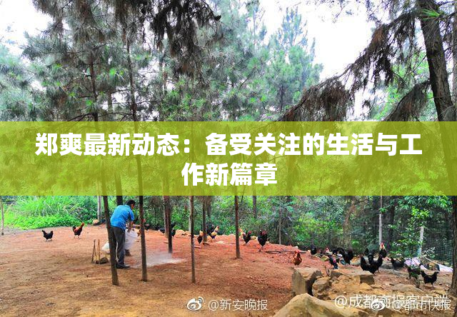 郑爽最新动态：备受关注的生活与工作新篇章