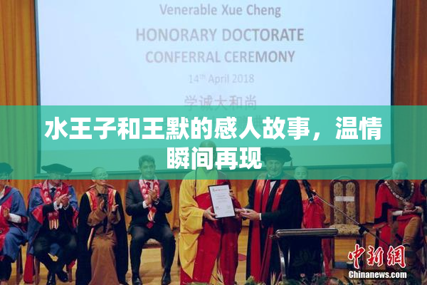 水王子和王默的感人故事，温情瞬间再现