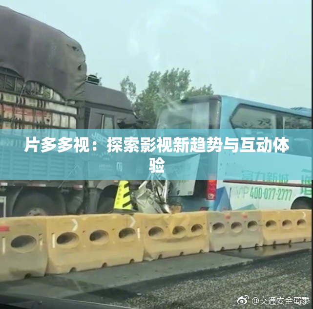 片多多视：探索影视新趋势与互动体验