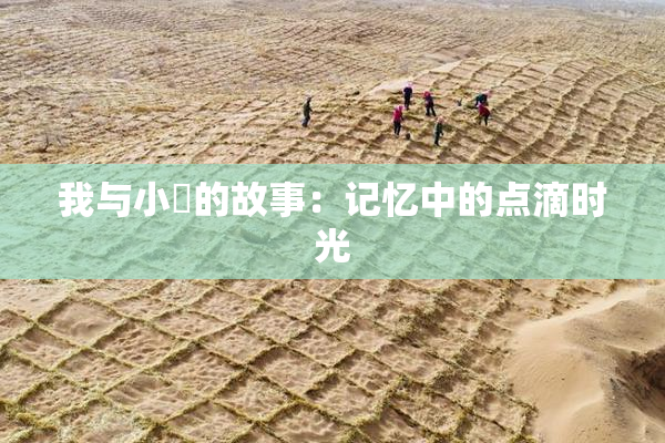 我与小娻的故事：记忆中的点滴时光