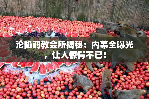 沦陷调教会所揭秘：内幕全曝光，让人惊愕不已！