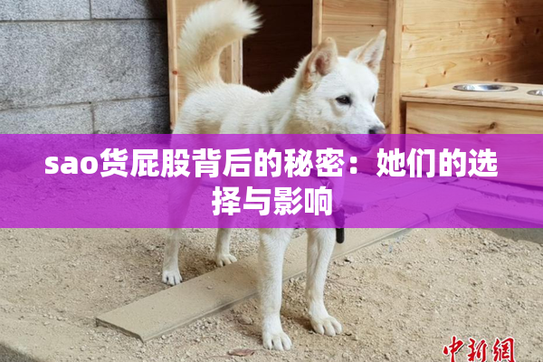 sao货屁股背后的秘密：她们的选择与影响