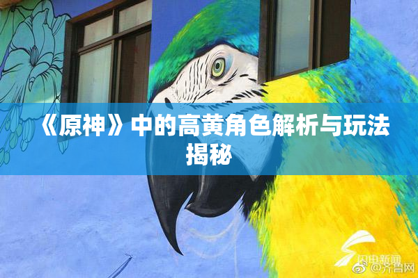 《原神》中的高黄角色解析与玩法揭秘