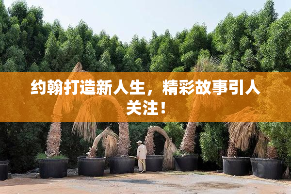 约翰打造新人生，精彩故事引人关注！