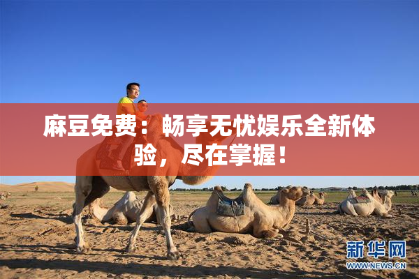 麻豆免费：畅享无忧娱乐全新体验，尽在掌握！