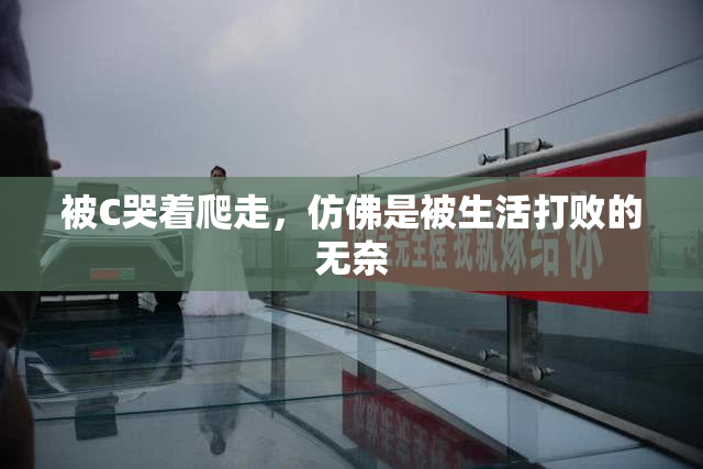 被C哭着爬走，仿佛是被生活打败的无奈