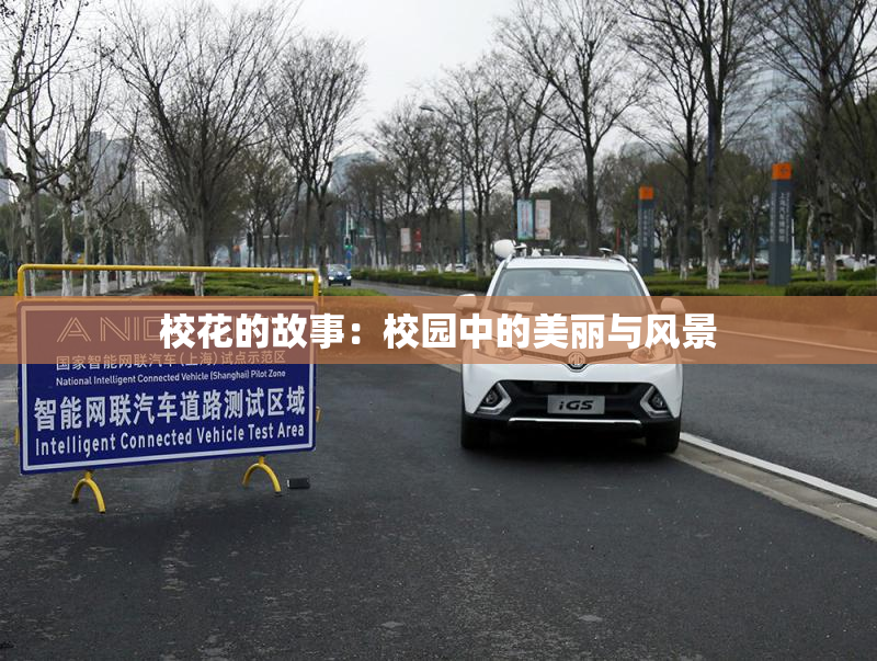 校花的故事：校园中的美丽与风景