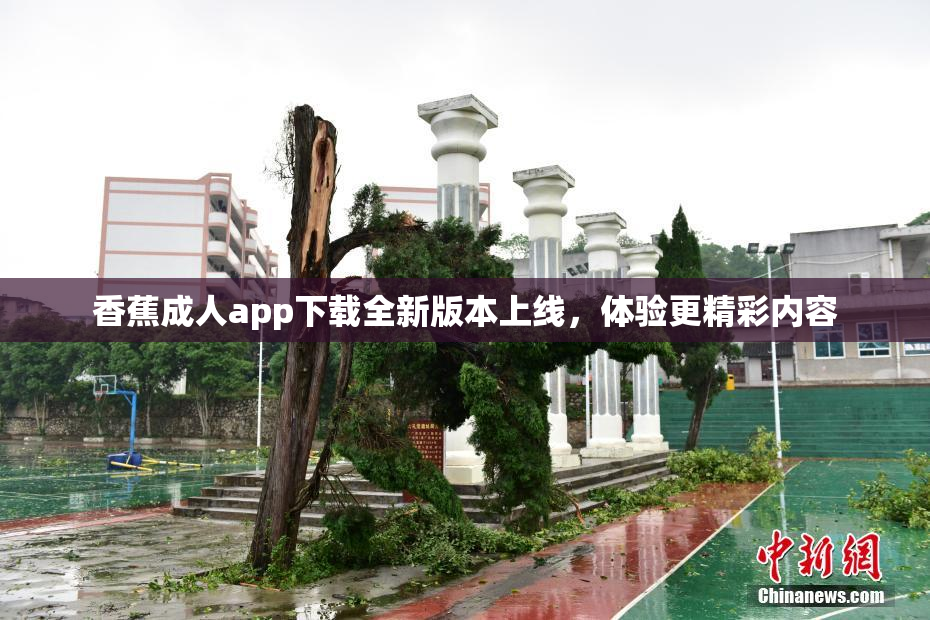 香蕉成人app下载全新版本上线，体验更精彩内容