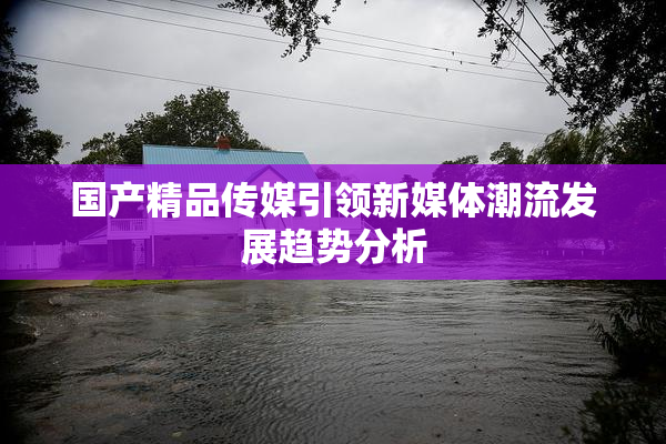 国产精品传媒引领新媒体潮流发展趋势分析