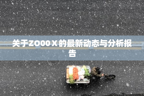 关于ZO00Ⅹ的最新动态与分析报告