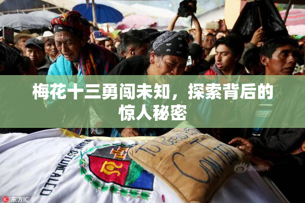 梅花十三勇闯未知，探索背后的惊人秘密
