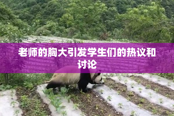 老师的胸大引发学生们的热议和讨论